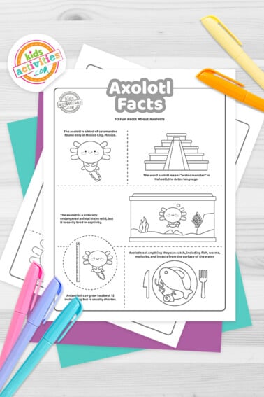 The axolotl coloring sheet with assorted crayons pictured to the left and a purple sheet peeking out from behind the black and white pages.