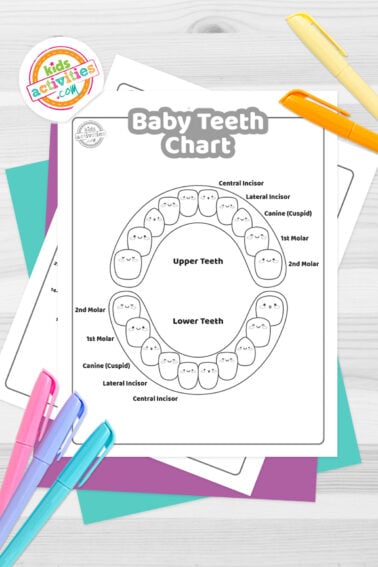 Black and white baby teeth chart printable on top of blue-green and purple sheets with assorted markers on a dark grey background. printed pdf version from Kids activities blog.