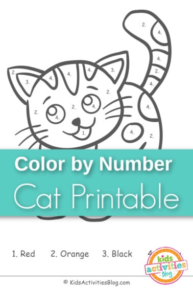 Color by Number Cat Printable