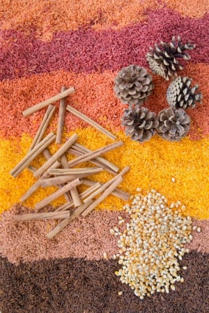 Fall Sensory Bin for Kids featured on Kids Activities Blog