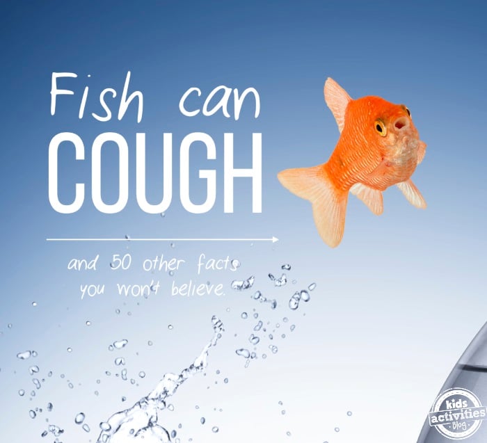 cool kid facts you won't believe - fish can cough - gold fish in water - Kids Activities Blog