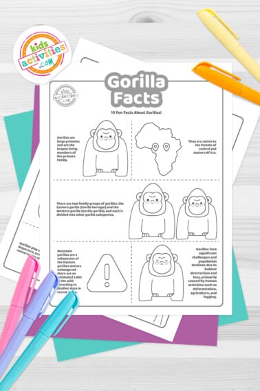 Black and white coloring pages with Gorilla facts lying on top of a blue-green sheet with multicolored letters on a light brown background.