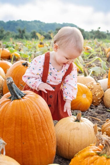 Halloween Alternative ideas- baby in a pumpkin patch- kids activities blog