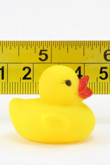 measurement activities for preschoolers - Kids Activities Blog