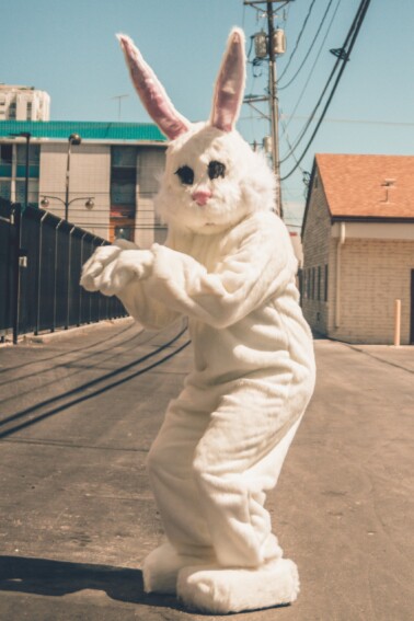 Track the Easter bunny this year with the Easter bunny tracker - Easter bunny standing on the street