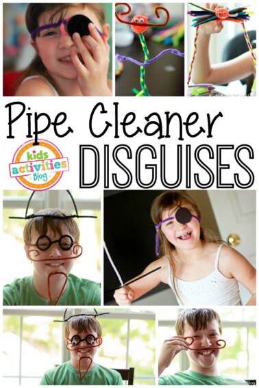 pipe cleaner disguises