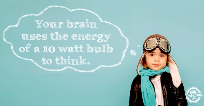 your brain uses energy & other silly science facts for kids