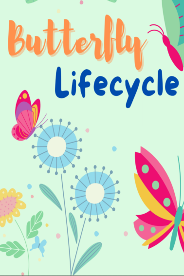 butterfly lifecycle with images of flowers and butterflies