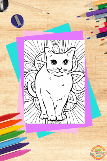 Cat Coloring Book with colorful paper, coloring supplies, and colorful accessories and a black and white coloring page against a wooden background- kids activities blog