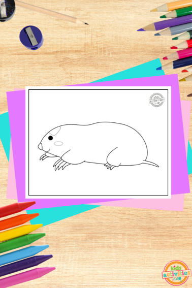 Zokor coloring page printed pdf file on a wooden background with colorful accessories and coloring supplies- kids activities blog