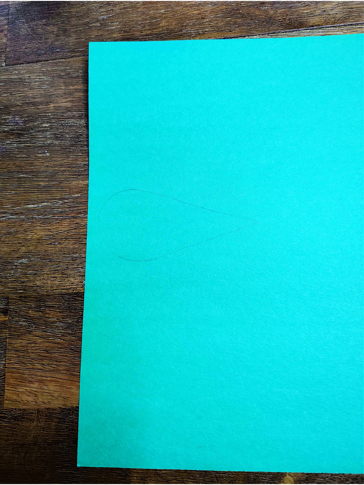 Turkey Craft- Step 4- Draw out the feather - Kids Activities Blog